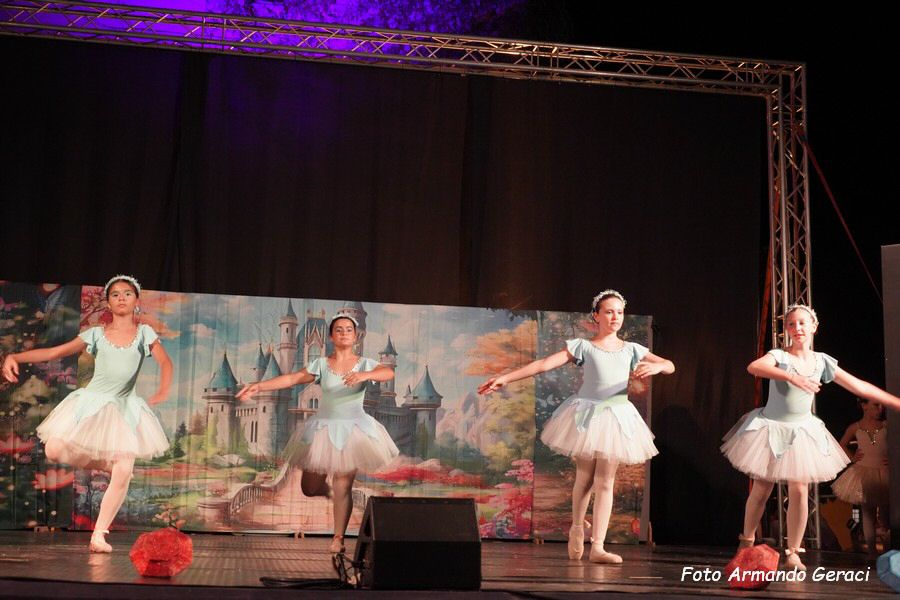 DSC00533_tn.jpg