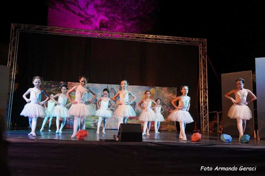 DSC00539_tn.jpg