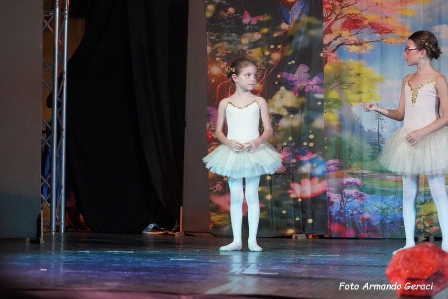 DSC00548_tn.jpg