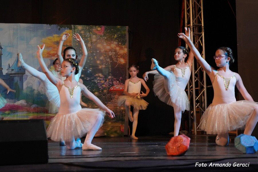 DSC00553_tn.jpg