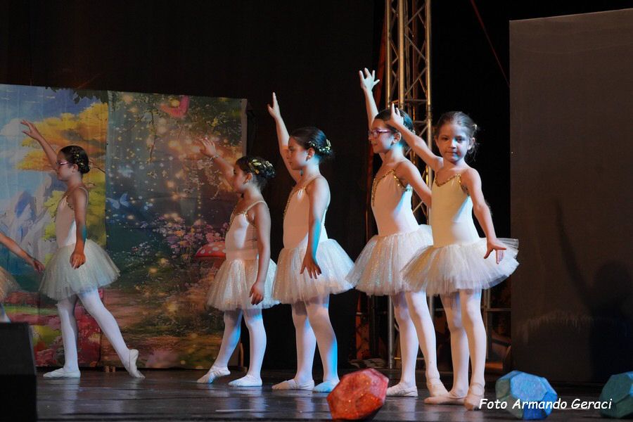 DSC00555_tn.jpg