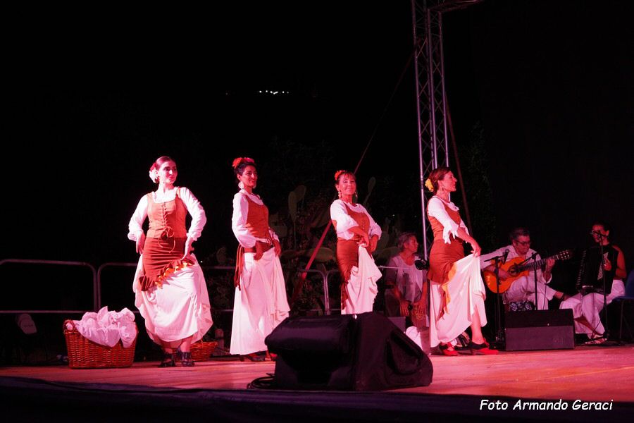 DSC02930_tn.jpg