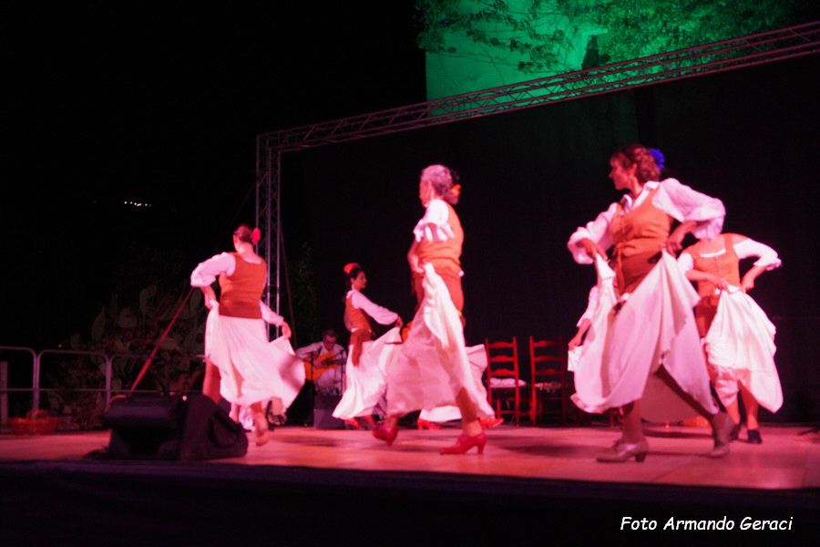 DSC02931_tn.jpg
