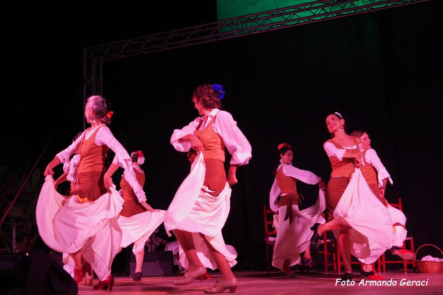 DSC02937_tn.jpg