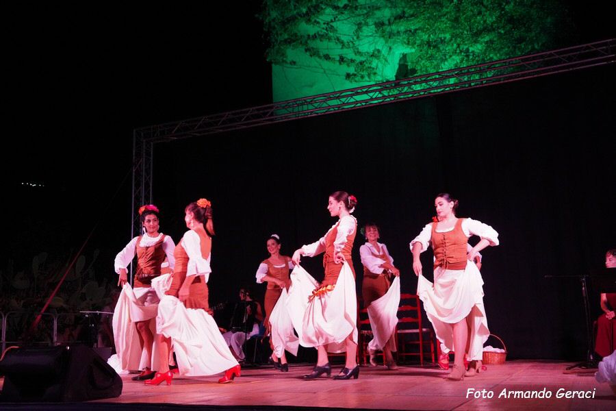 DSC02939_tn.jpg