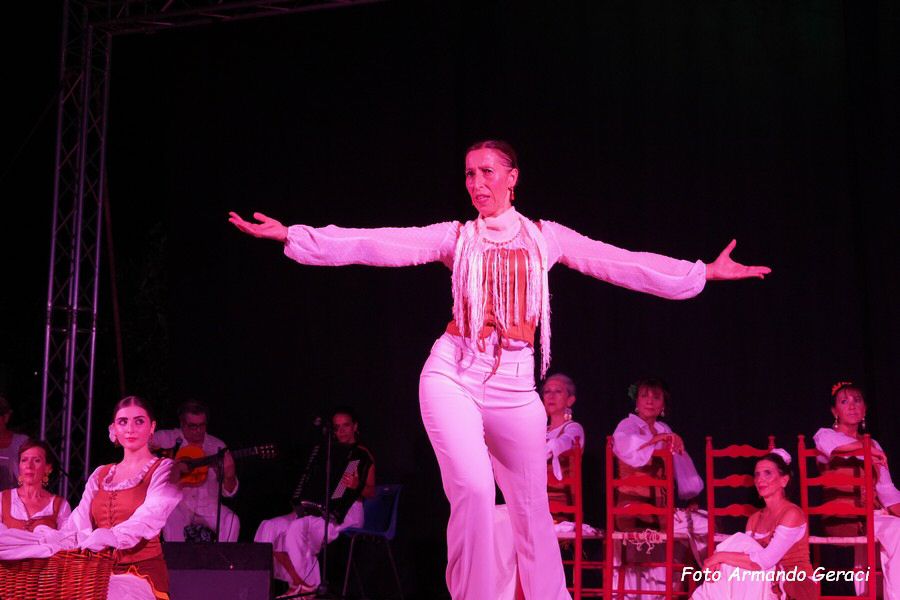 DSC02956_tn.jpg