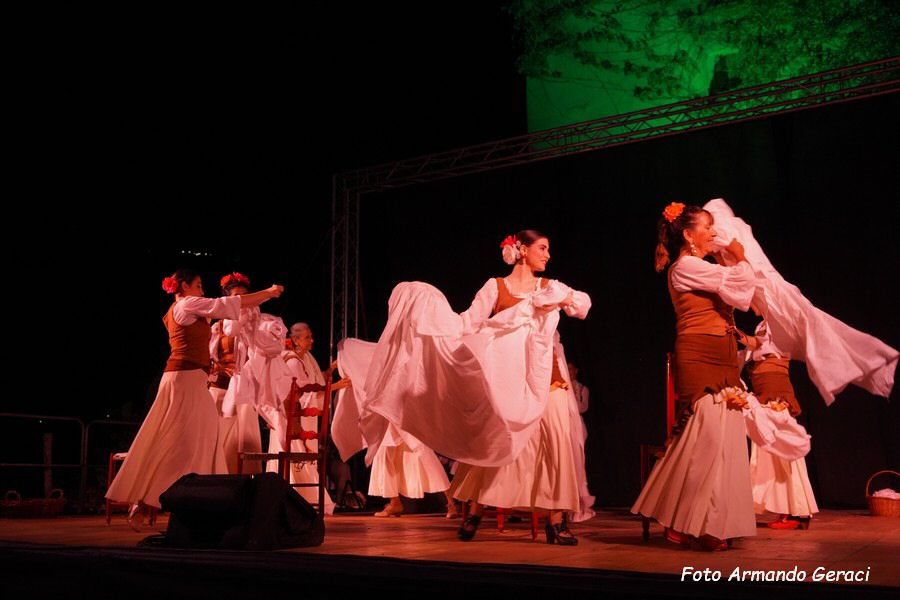 DSC02970_tn.jpg