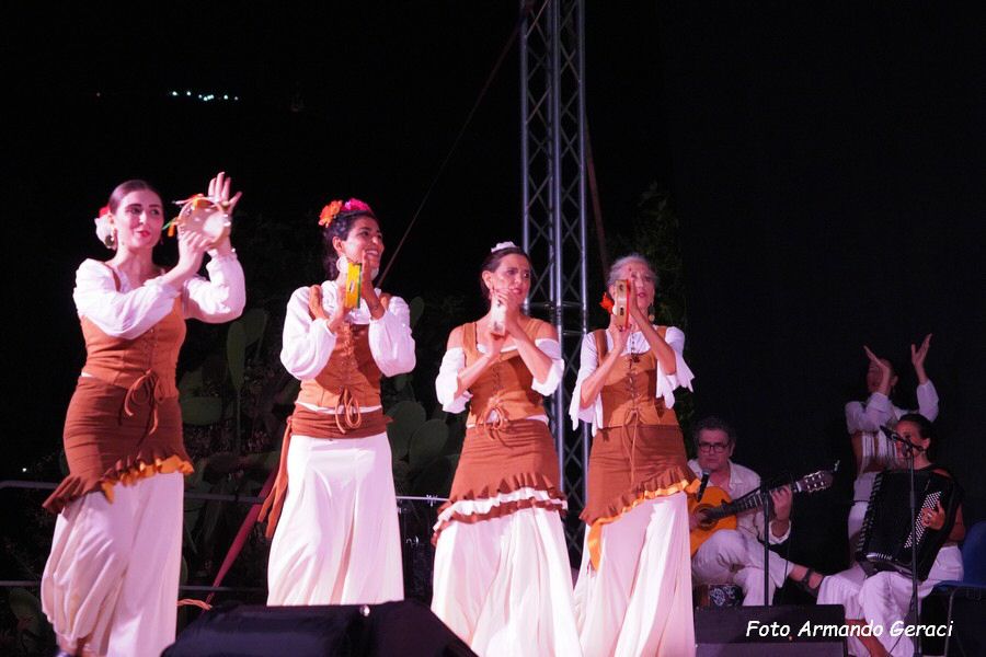 DSC02994_tn.jpg