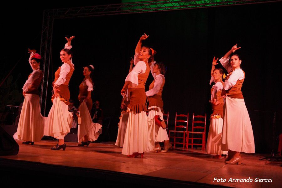 DSC03010_tn.jpg