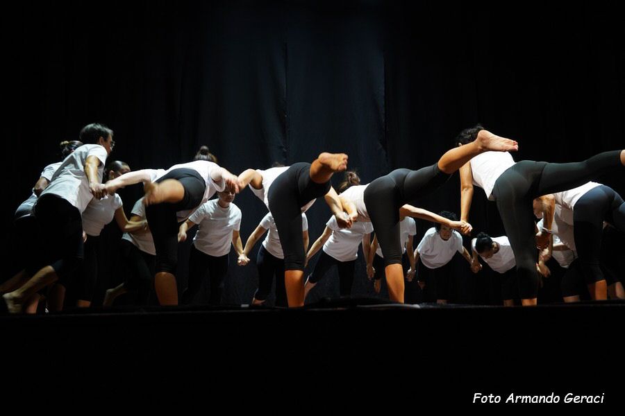 DSC08469_tn.jpg